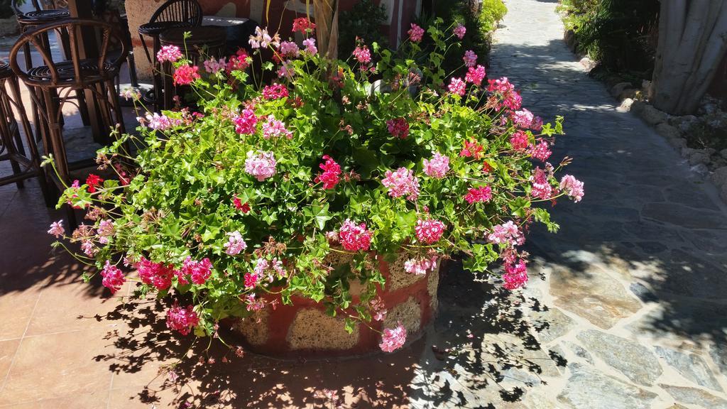 Charco del Pino Casa Giuliana B&B 외부 사진